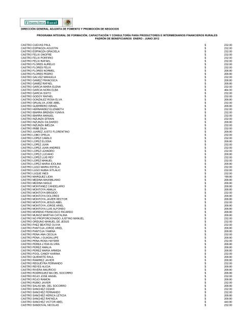 DIRECCIÓN GENERAL ADJUNTA DE FOMENTO ... - Financiera Rural