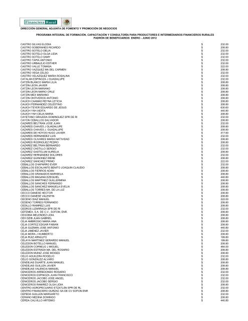 DIRECCIÓN GENERAL ADJUNTA DE FOMENTO ... - Financiera Rural