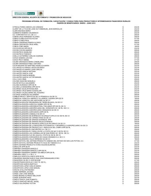 DIRECCIÓN GENERAL ADJUNTA DE FOMENTO ... - Financiera Rural