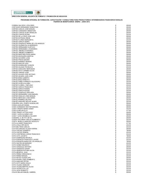 DIRECCIÓN GENERAL ADJUNTA DE FOMENTO ... - Financiera Rural