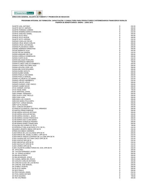 DIRECCIÓN GENERAL ADJUNTA DE FOMENTO ... - Financiera Rural