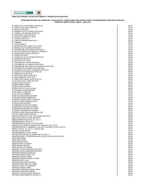 DIRECCIÓN GENERAL ADJUNTA DE FOMENTO ... - Financiera Rural