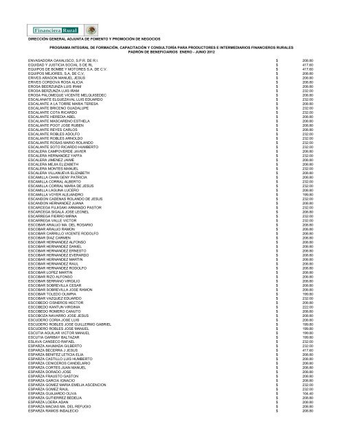 DIRECCIÓN GENERAL ADJUNTA DE FOMENTO ... - Financiera Rural