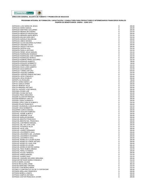 DIRECCIÓN GENERAL ADJUNTA DE FOMENTO ... - Financiera Rural