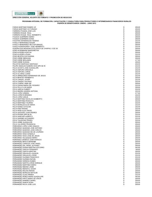 DIRECCIÓN GENERAL ADJUNTA DE FOMENTO ... - Financiera Rural