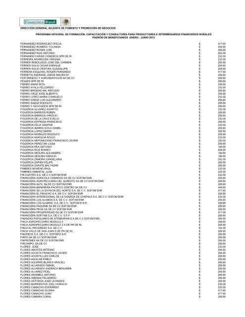 DIRECCIÓN GENERAL ADJUNTA DE FOMENTO ... - Financiera Rural