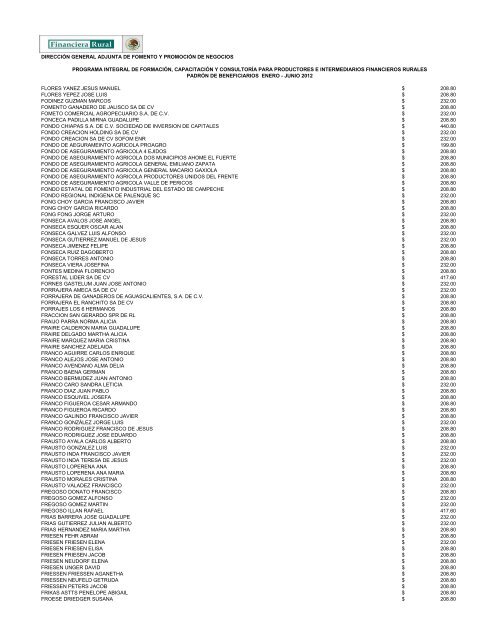 DIRECCIÓN GENERAL ADJUNTA DE FOMENTO ... - Financiera Rural