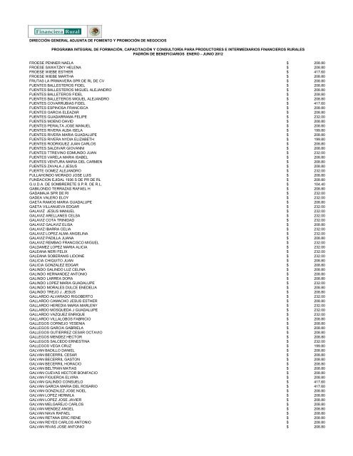 DIRECCIÓN GENERAL ADJUNTA DE FOMENTO ... - Financiera Rural