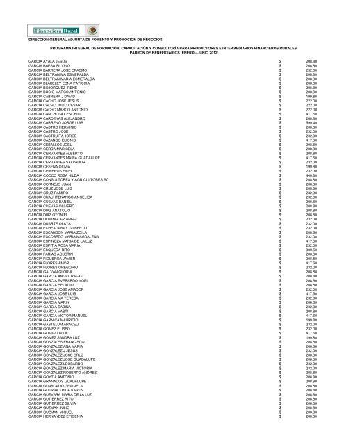 DIRECCIÓN GENERAL ADJUNTA DE FOMENTO ... - Financiera Rural