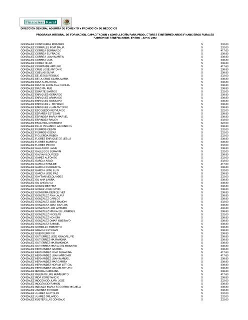 DIRECCIÓN GENERAL ADJUNTA DE FOMENTO ... - Financiera Rural