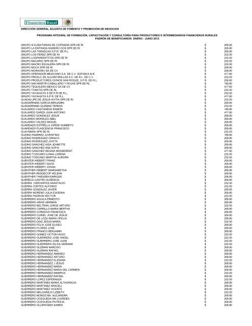 DIRECCIÓN GENERAL ADJUNTA DE FOMENTO ... - Financiera Rural