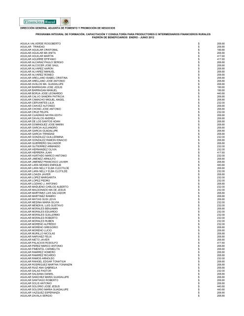 DIRECCIÓN GENERAL ADJUNTA DE FOMENTO ... - Financiera Rural