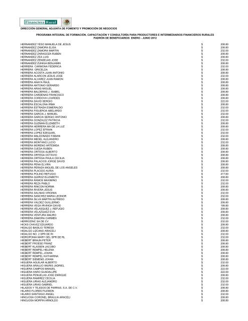 DIRECCIÓN GENERAL ADJUNTA DE FOMENTO ... - Financiera Rural