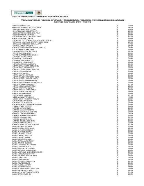 DIRECCIÓN GENERAL ADJUNTA DE FOMENTO ... - Financiera Rural