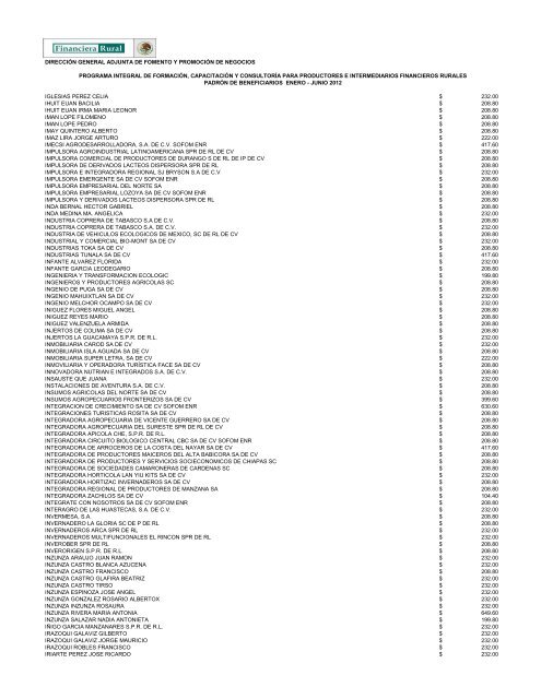 DIRECCIÓN GENERAL ADJUNTA DE FOMENTO ... - Financiera Rural