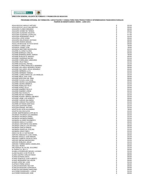 DIRECCIÓN GENERAL ADJUNTA DE FOMENTO ... - Financiera Rural