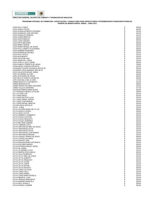 DIRECCIÓN GENERAL ADJUNTA DE FOMENTO ... - Financiera Rural