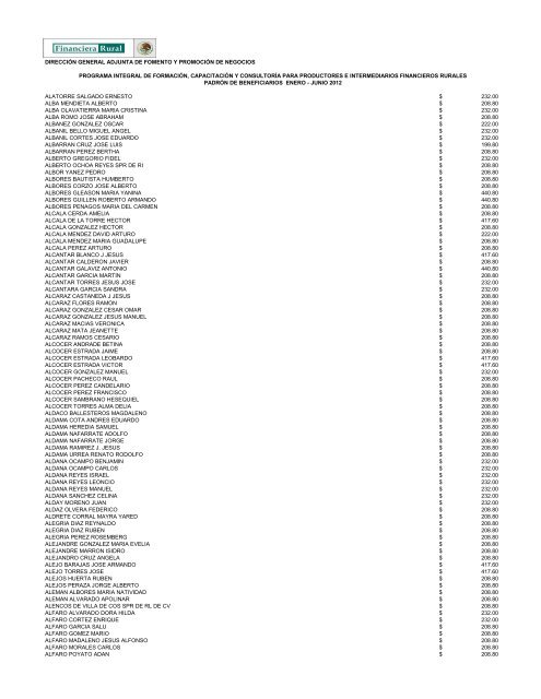 DIRECCIÓN GENERAL ADJUNTA DE FOMENTO ... - Financiera Rural