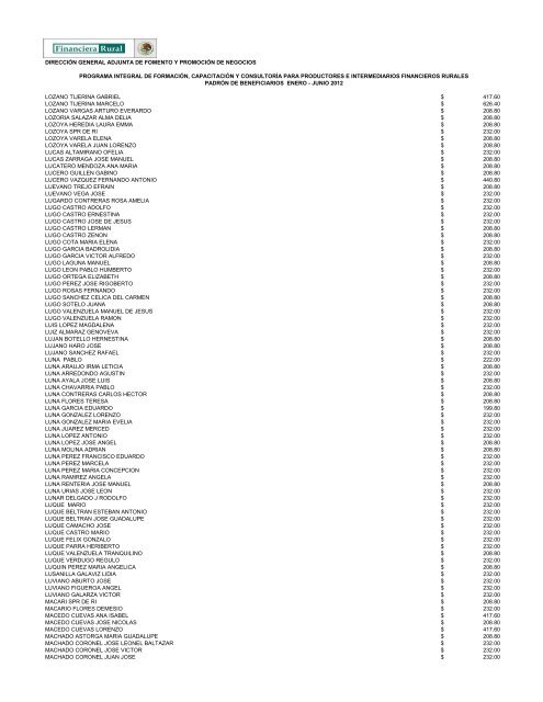 DIRECCIÓN GENERAL ADJUNTA DE FOMENTO ... - Financiera Rural