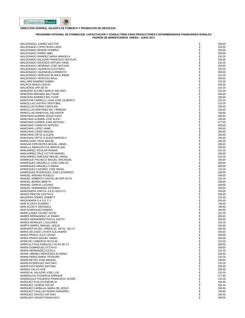 DIRECCIÓN GENERAL ADJUNTA DE FOMENTO ... - Financiera Rural