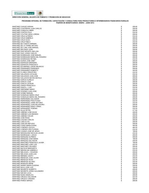 DIRECCIÓN GENERAL ADJUNTA DE FOMENTO ... - Financiera Rural