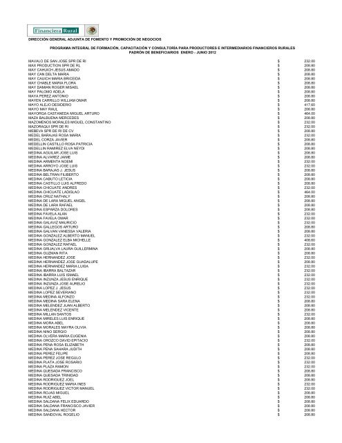 DIRECCIÓN GENERAL ADJUNTA DE FOMENTO ... - Financiera Rural