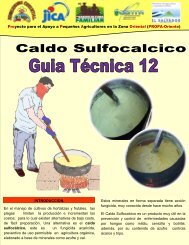 12 Guia en produccion caldo sulfocalcico.pdf - centa