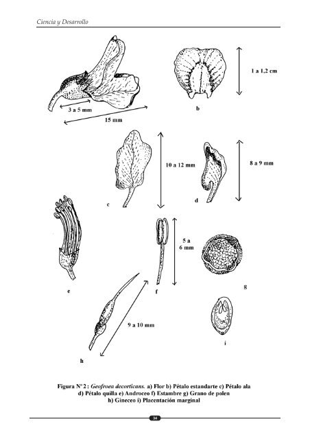 Caesalpinia spinosa (tara) y Geoffroeae decorticans (CHAÑAR)