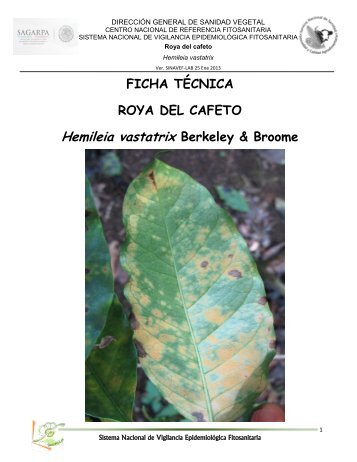 FICHA TÉCNICA ROYA DEL CAFETO Hemileia vastatrix Berkeley ...