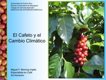 Cafetos y Cambio Climático - UPRM