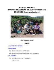 Manual técnico buenas prácticas de cultivo en café - oirsa