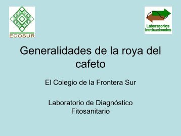 Enfermedades del cafeto