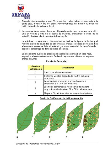 MIP Plaga del Cafeto - Senasa