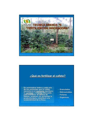 Presentation (pdf 860 kB)