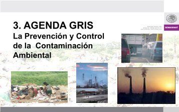 Agenda Gris. La Prevención y Control de la Contaminación ...