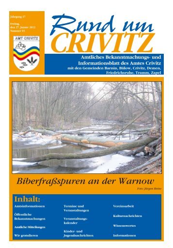 Biberfraßspuren an der Warnow - Amt Crivitz