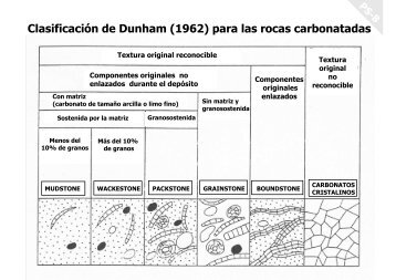 Clasificación de Dunham (1962) para las rocas carbonatadas