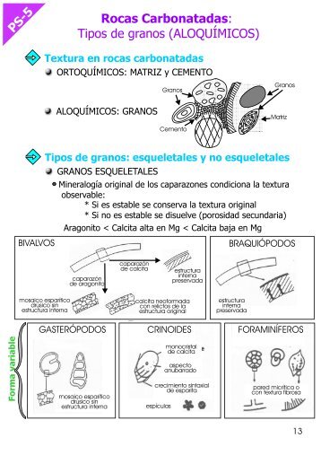 PS-5 Rocas Carbonatadas: Tipos de granos (ALOQUÍMICOS)