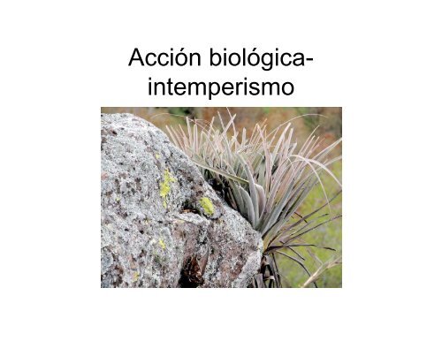 ciclo de las rocas - Centro de Geociencias ::.. UNAM