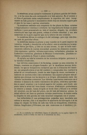 el ileon el peritoneo rodea completamente la superficie del tubo ...