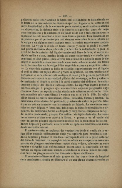 el ileon el peritoneo rodea completamente la superficie del tubo ...