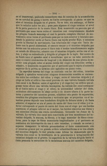 el ileon el peritoneo rodea completamente la superficie del tubo ...