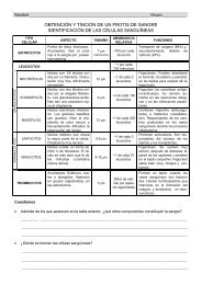 obtención y tinción de un frotis de sangre identificación de las ...