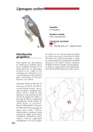 Libro rojo de aves de Colombia - Instituto de Investigación de ...