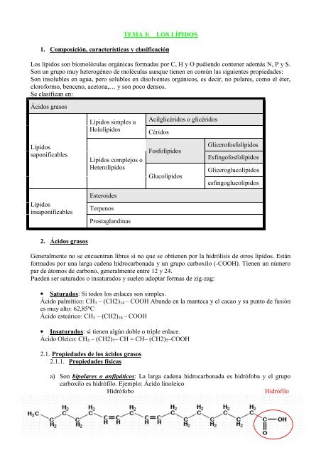 1 TEMA 3: LOS LÍPIDOS 1. Composición, características y ...