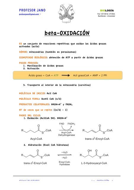 beta oxidación FICHA DE APRENDIZAJE - PROFESOR JANO es ...