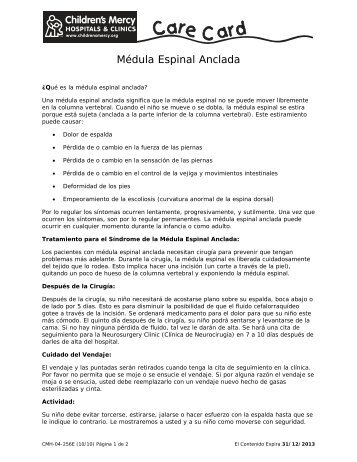 Médula Espinal Anclada (CMH-04-256E)
