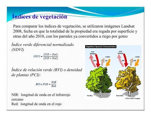 Uniformidad de distribución del riego por goteo en vid - VI Jornadas ...