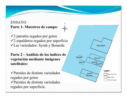 Uniformidad de distribución del riego por goteo en vid - VI Jornadas ...