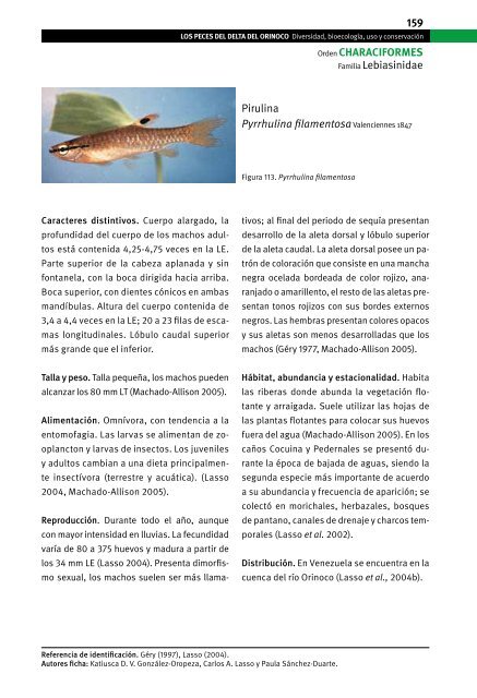 LOS PECES DEL DELTA DEL ORINOCO - Fundación La Salle